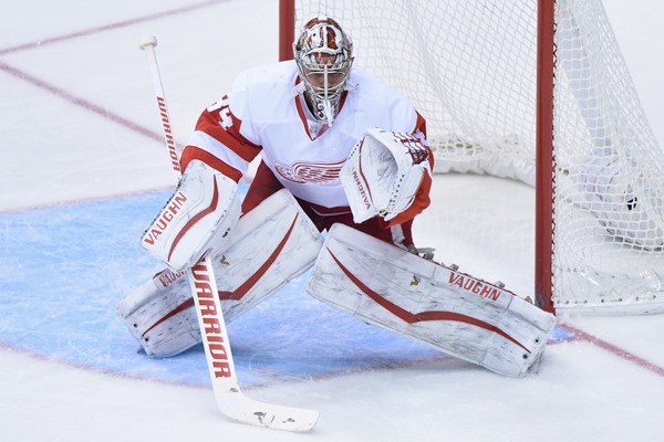 Daily FanDuel Fantasy Hockey Picks: January 17, 2016