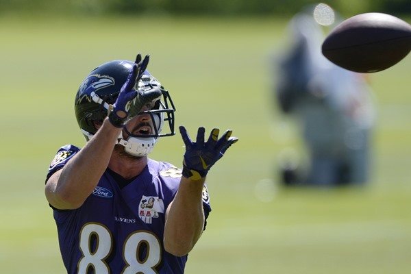 Dennis Pitta to See Action for First Time in Two Years 