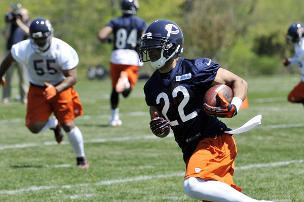 Chicago Bears 2013 Fantasy Preview