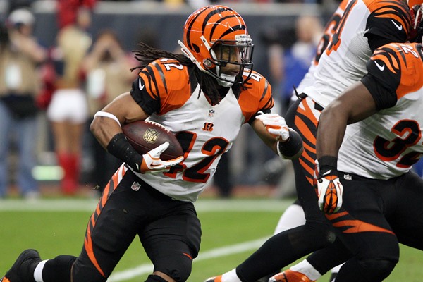 Projected Cincinnati Bengals 2013 Fantasy Dud