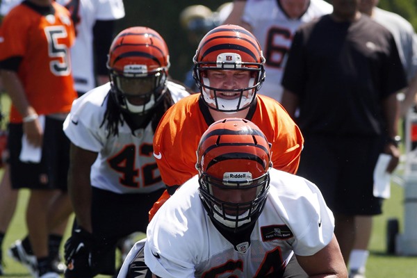 2013 Cincinnati Bengals Preview