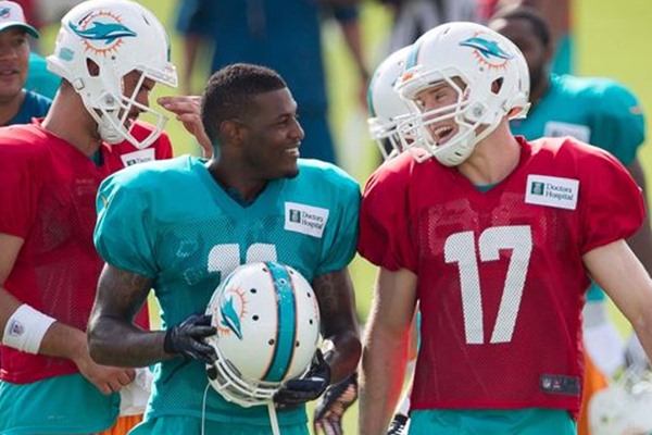 2013 Miami Dolphins Preview