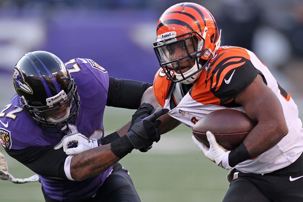 Top Fantasy Football Players in AFC North Through 10 Weeks