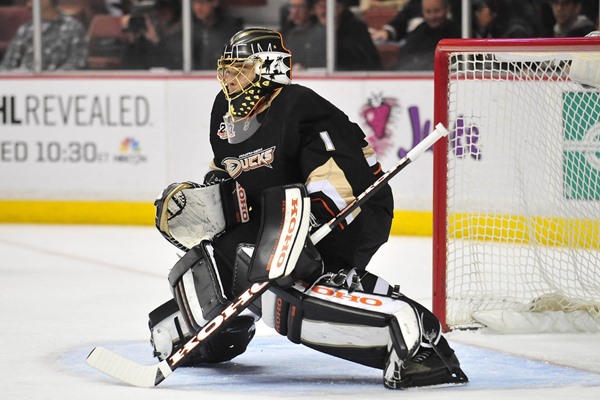 Possible Pitfalls for the Anaheim Ducks